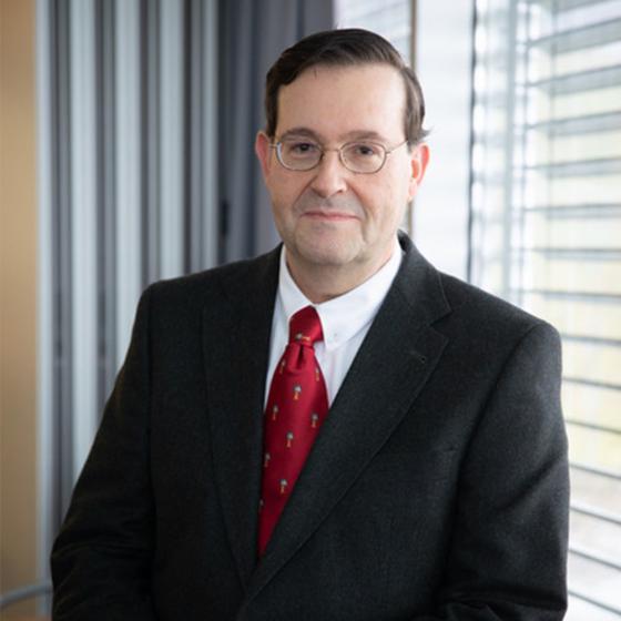 Prof. Enrique Gomez Barrena, MD